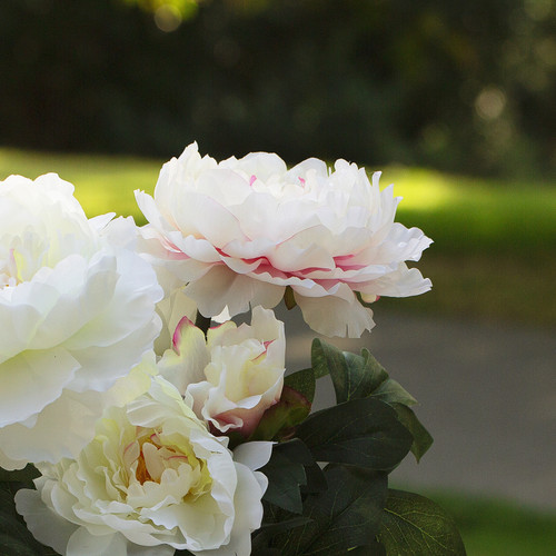 28" Peony Flower Stem