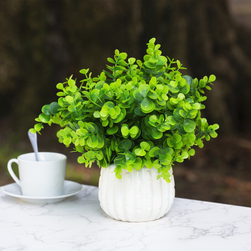 10 inch Eucalyptus Grass in Ceramic Pot
