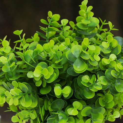 10 inch Eucalyptus Grass in Ceramic Pot