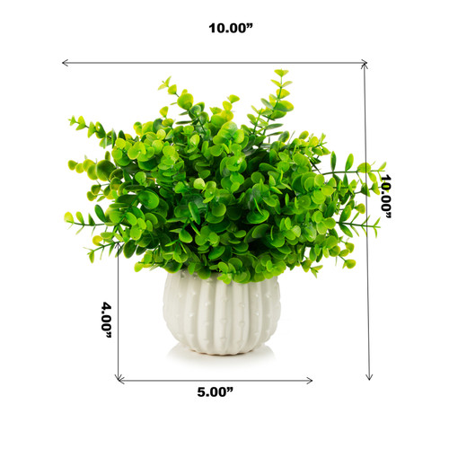 10 inch Eucalyptus Grass in Ceramic Pot