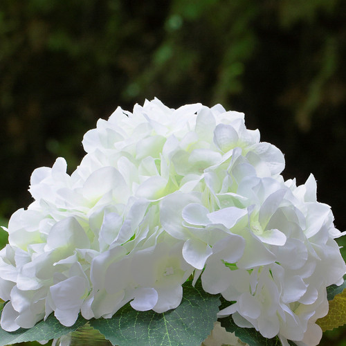 Silk Hydrangea Flower Arrangement in Clear White Vase with Faux Water