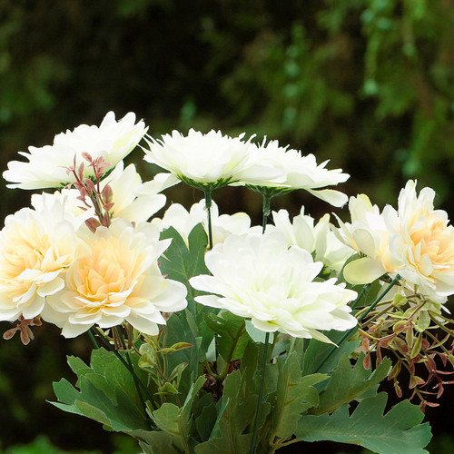 Mixed Daisy Flower Arrangement in Clear Glass Vase with Acrylic Water (Cream Yellow)