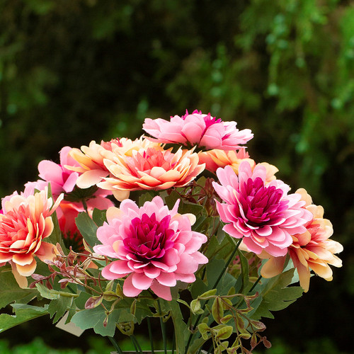 Mixed Daisy Flower Arrangement in Clear Glass Vase with Acrylic Water (Fushia)