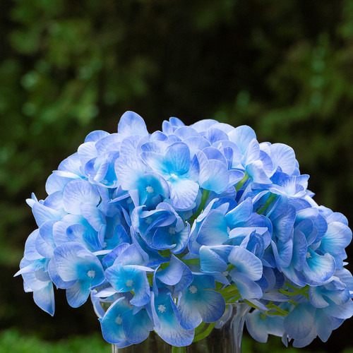 Real Touch Hydrangea Flower in Clear Glass Vase with Acrylic Water