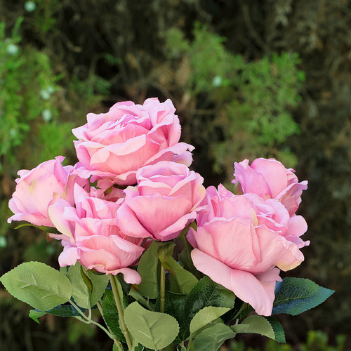 13" Artificial Silk Rose Flowers in Glass Vase with Faux Water(Fushia)