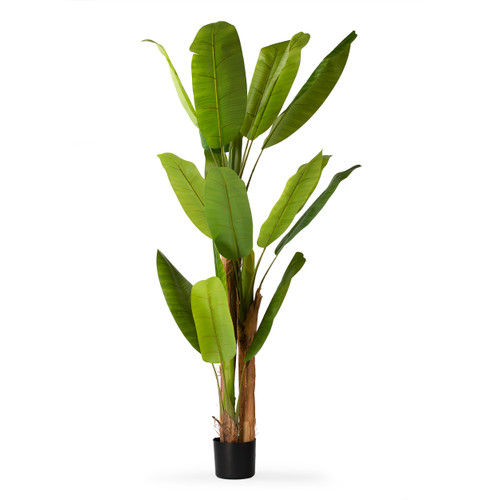 72" Artificial Banana Tree in Nursery Pot