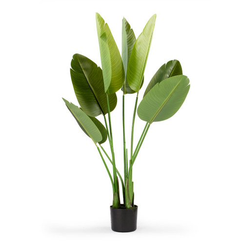 48" Artificial Bird of Paradise Tree in Nursery Pot
