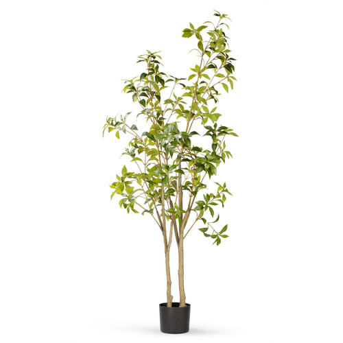 60" Artificial Pieris Tree in Nursery Pot