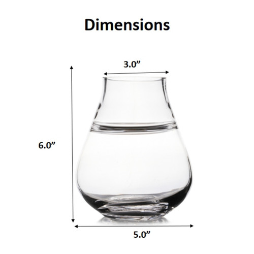 6.0"H 5.0"W Unique Glass Vase