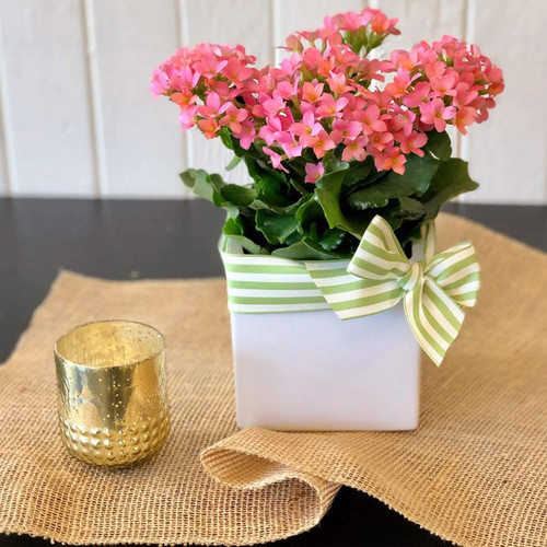 5" H Square White Ceramic Vase