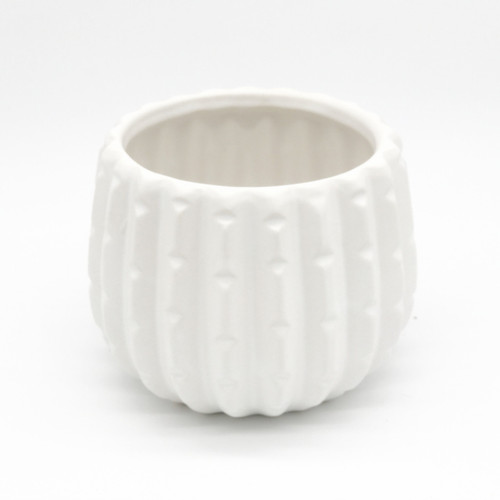 5.00" W 4.00" H White Ceramic Cactus Pot