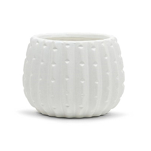 5.00" W 4.00" H White Ceramic Cactus Pot