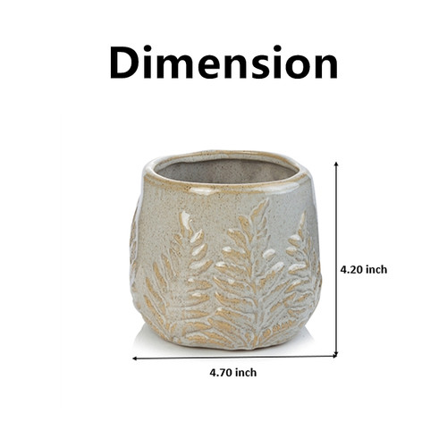 4.70" W 4.20" H White Ceramic Fern Print Pot