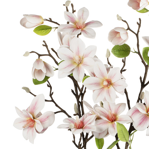 Real Touch Magnolia Flower Arrangement in Glass Vase with Faux Water (Cream Pink)