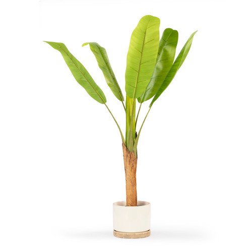 Artificial Banana Tree in Nursery Pot (New)