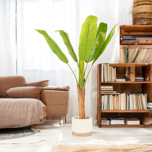 Artificial Banana Tree in Nursery Pot (New)
