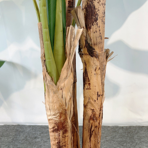 Artificial Banana Tree in Nursery Pot (New)