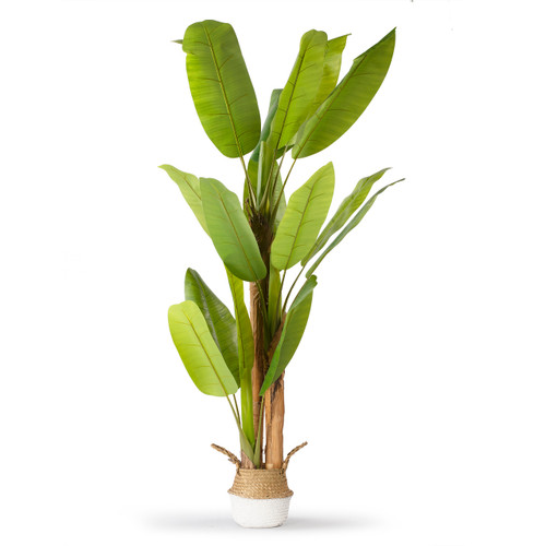 Artificial Banana Tree in Nursery Pot (New)