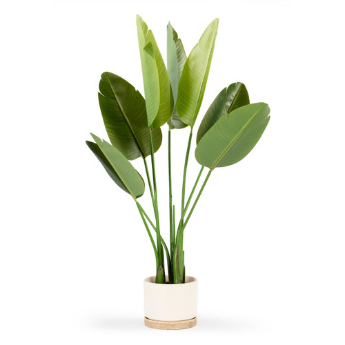 Artificial Bird of Paradise Tree in Nursery Pot (New)