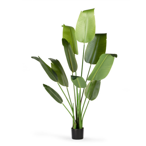 Artificial Bird of Paradise Tree in Nursery Pot (New)