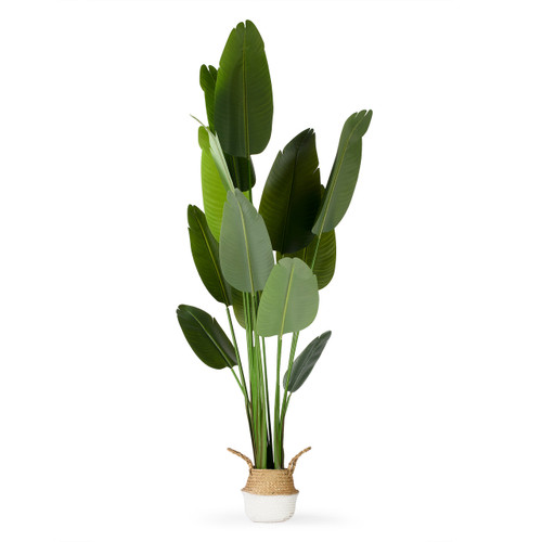 Artificial Bird of Paradise Tree in Nursery Pot (New)