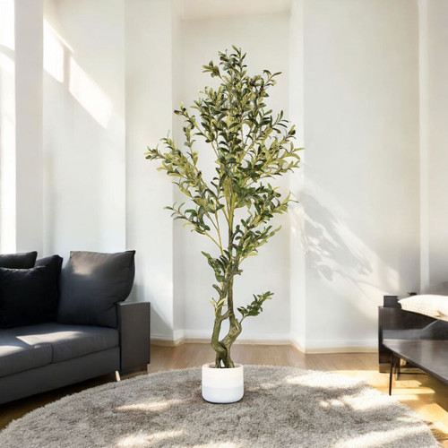 Faux Olive Tree with Branches and Fruits in Pot (New)