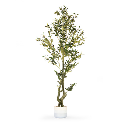 Faux Olive Tree with Branches and Fruits in Pot (New)