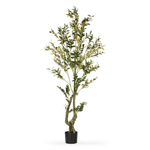 Faux Olive Tree with Branches and Fruits in Pot (New)