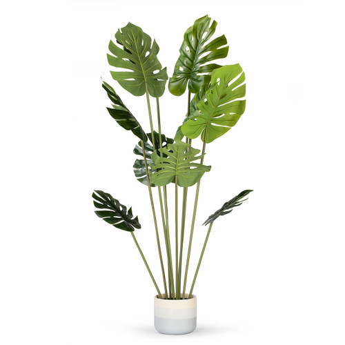 Artificial Monstera Tree in Nursery Pot (New)
