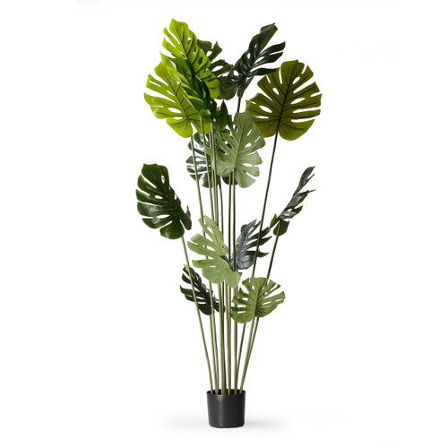 Artificial Monstera Tree in Nursery Pot (New)