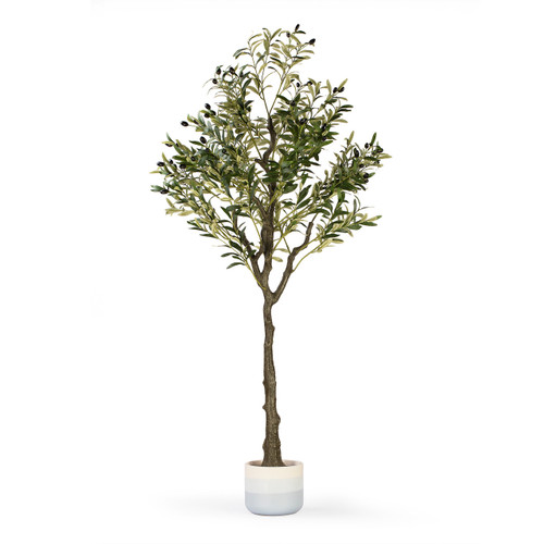 Faux Olive Tree with Fruits in Pot (New)