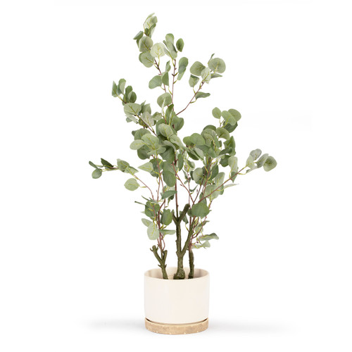 Artificial Eucalyptus Tree in Nursery Pot (New)