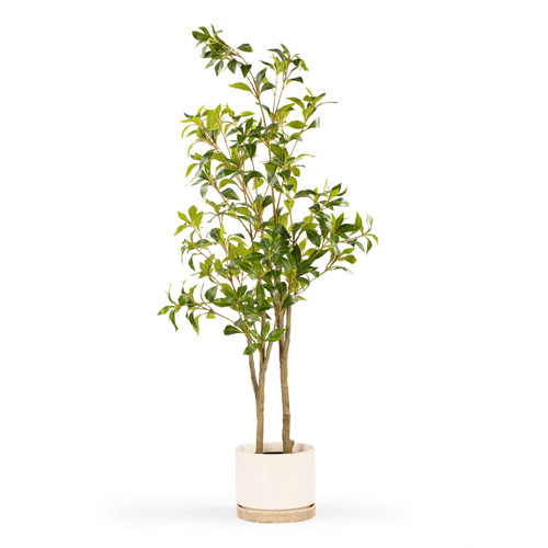 Artificial Pieris Tree in Nursery Pot (New)