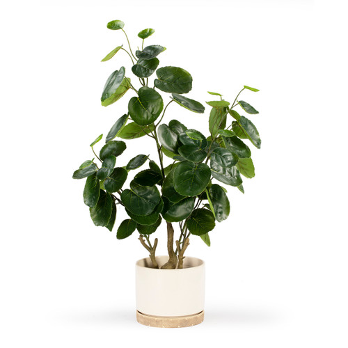 Artificial Fiddle Money Bag Tree (New)