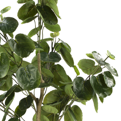 Artificial Fiddle Money Bag Tree (New)