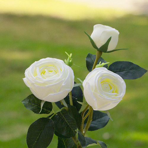 Artificial Silk Rose Flower in Clear Glass Vase (New) — Available in 6 Colors