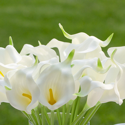 20 Pieces Artificial Real Touch Lilies Flower Arrangement in Glass Vase With Faux Water (New) — Available in 5 Colors