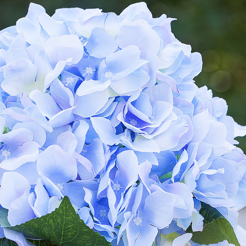 Artificial Silk Hydrangea Flower Arrangement in Cube Glass Vase With Faux Water (New) — Available in 5 Colors