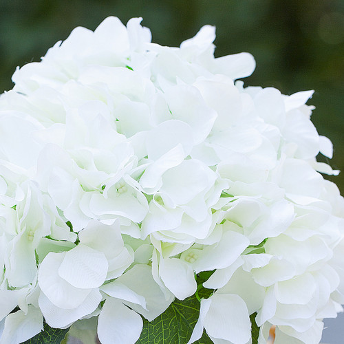 Artificial Silk Hydrangea Flower Arrangement in Cube Glass Vase With Faux Water (New) — Available in 5 Colors