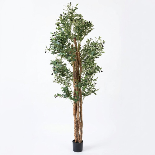 72" Artificial Olive Tree with Natural Wood Trunk