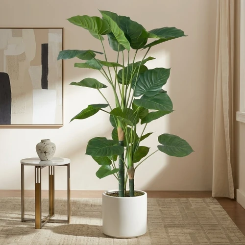 63" Artificial Alocasia Elephant Ear Tree in Nursery Pot