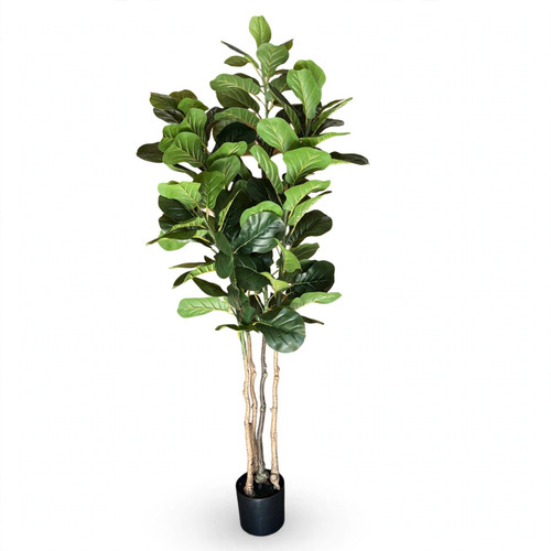 68 inches Faux Fiddle Leaf Fig with Large Glossy Leaves & Natural Triple Trunks in Black Planter