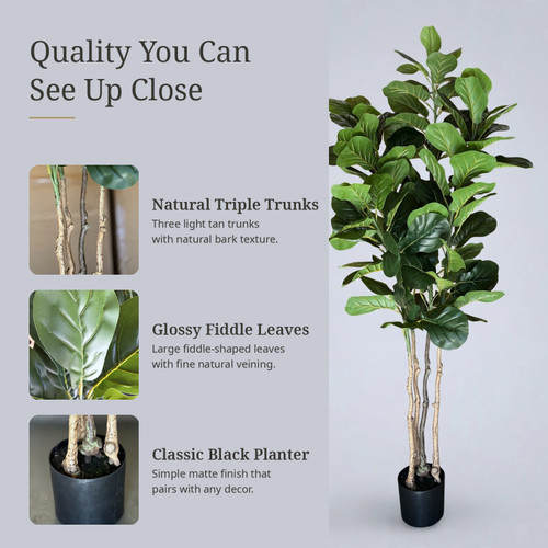 68 inches Faux Fiddle Leaf Fig with Large Glossy Leaves & Natural Triple Trunks in Black Planter