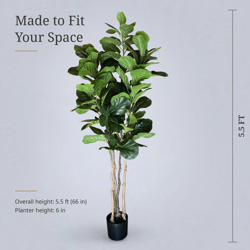 68 inches Faux Fiddle Leaf Fig with Large Glossy Leaves & Natural Triple Trunks in Black Planter