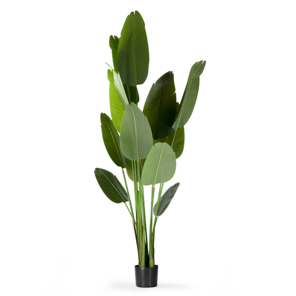 72" Artificial Bird of Paradise Tree in Nursery Pot