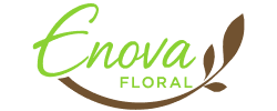 enovafloral