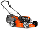 LC19 (2013-)