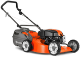 LC19A (2012)