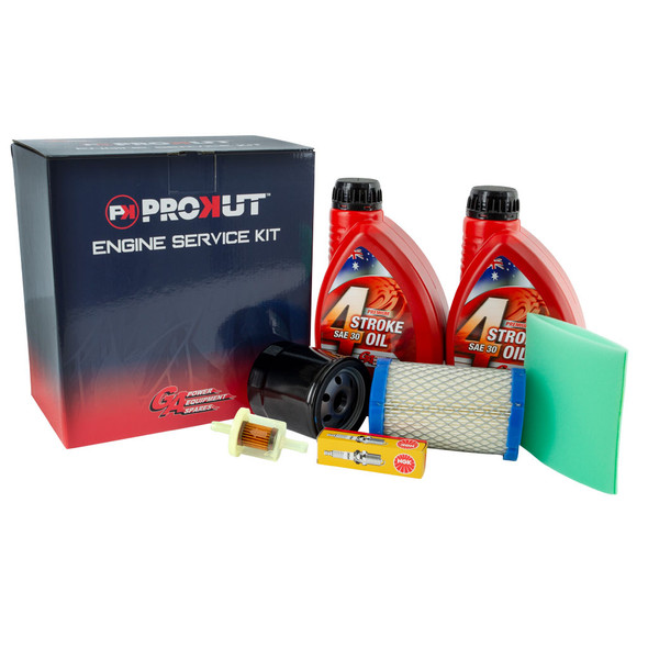 ESK8255 - ENGINE SERVICE KIT B&S INTEK 13.5 - 17.5HP