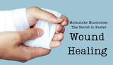 Matsutake Mushrooms: The Secret to Faster Wound Healing and Skin Regeneration?